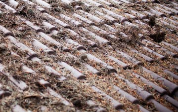 Thorpe Hesley roof cleaning companies