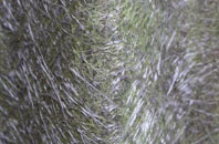 Thorpe Hesley fibreglass roof work